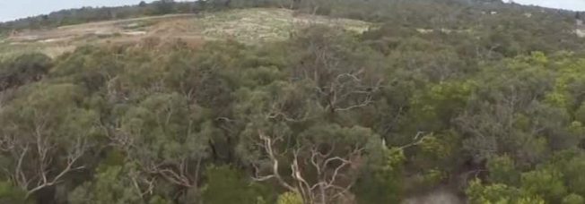 Eagle knocks drone out of sky