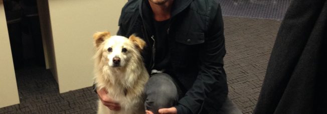 Dierks Bentley’s Beloved Dog, Jake, Passes Away