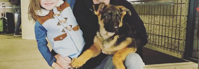 German Shepherds, Garth Brooks, Comebacks, Best in Show & Country Stars Who Love Their Dogs [Gallery]