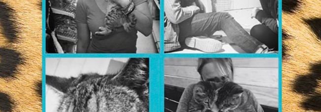 Hello Kitties: Miranda Lambert and Boyfriend Anderson East Adopt Three Cats